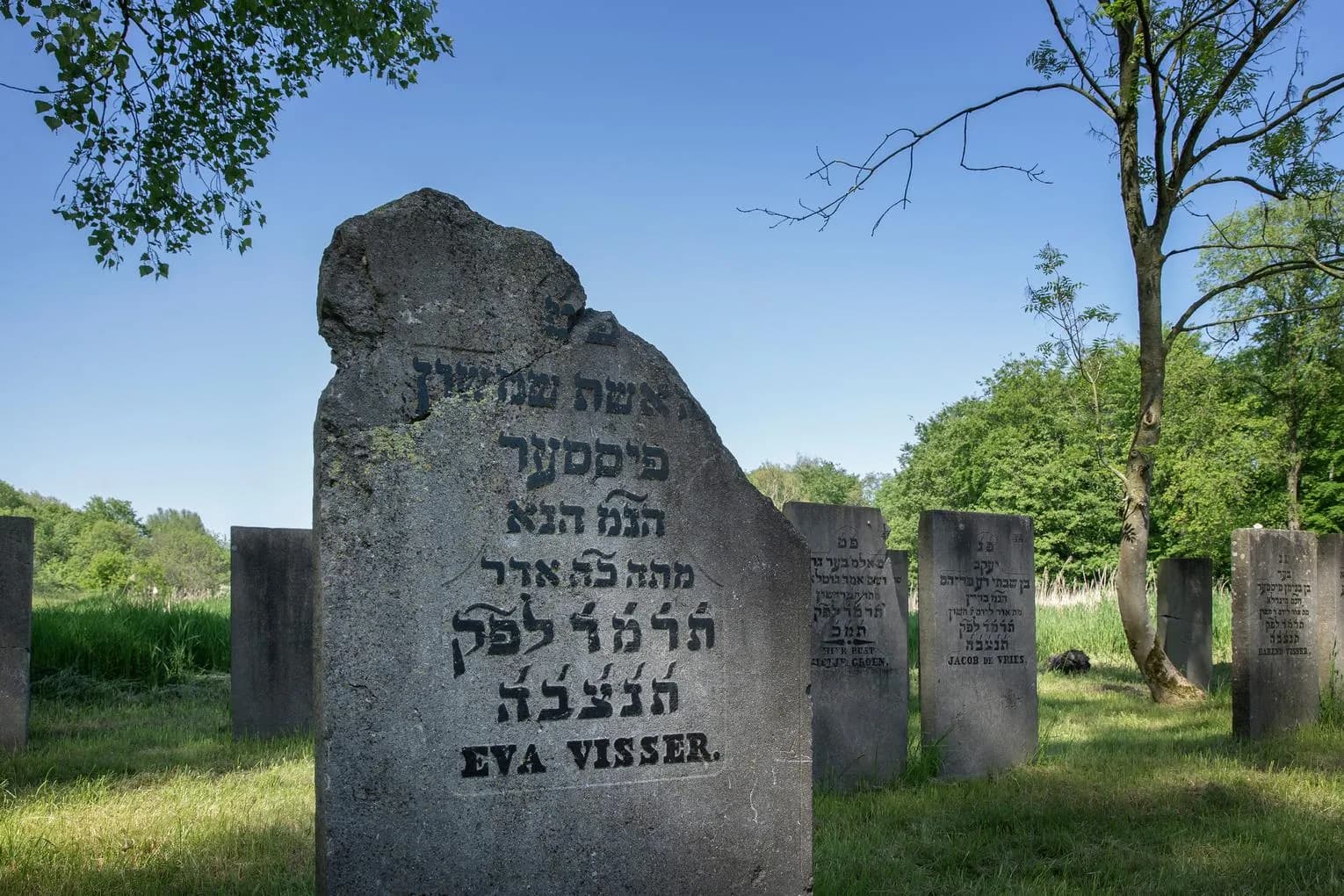 Gravestones in the Jewish Cemetery in Flevopark