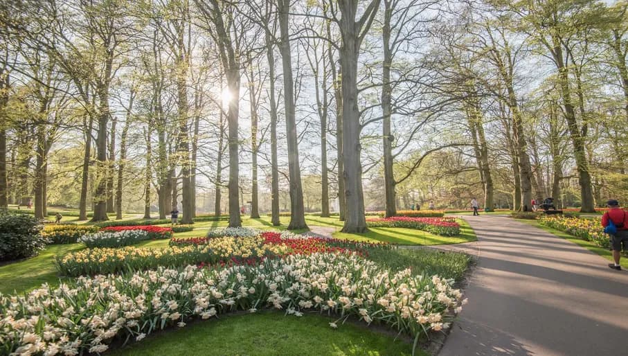 Keukenhof, also known as the Garden of Europe, is the world's second-largest flower garden. It is situated in Lisse, the Netherlands.