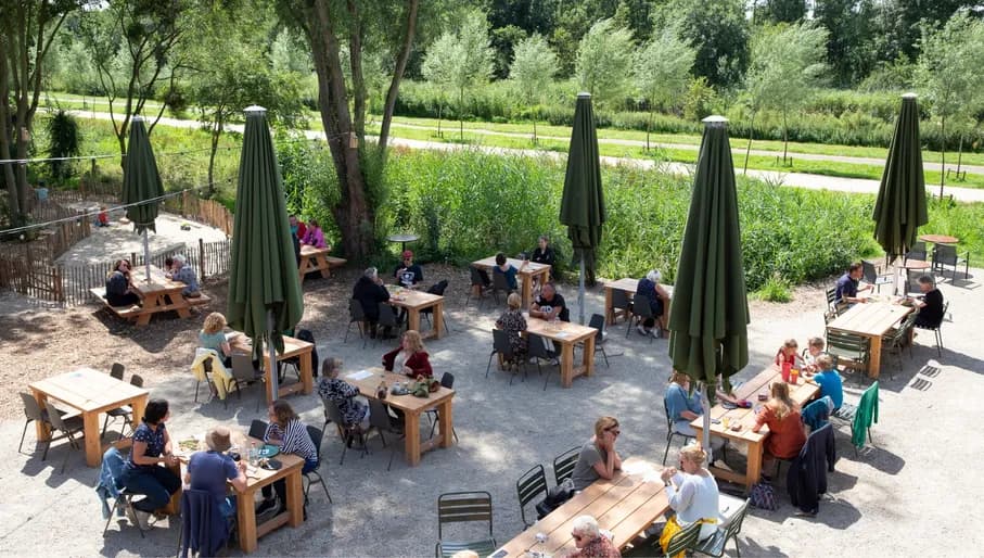 House of Bird people on the terrace