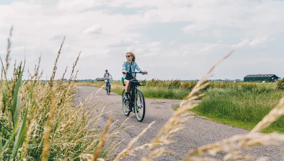 People cycling in the countryside