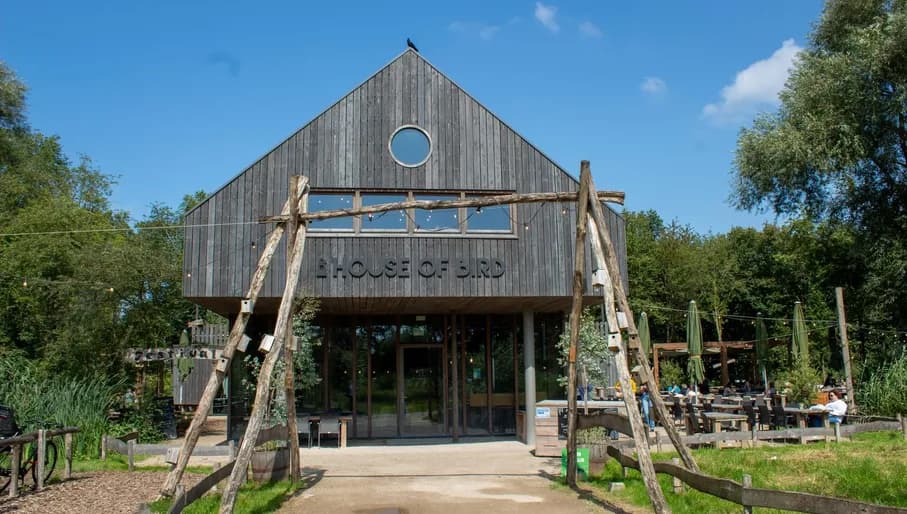 Photos made during Content Creation Day Zuidoost