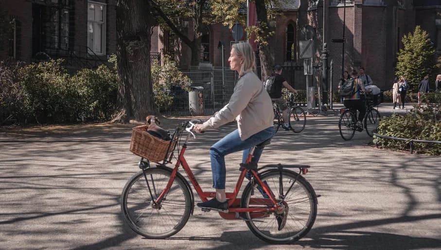 Pictures from Pim the dog for the iamsterdam.com blog. With dog owner Ulrike Ziegler.